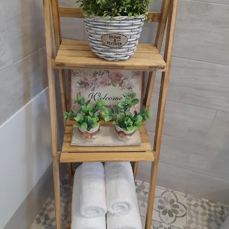 Alisachni * 키니언