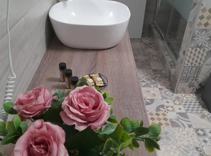 Alisachni Apartament Kini