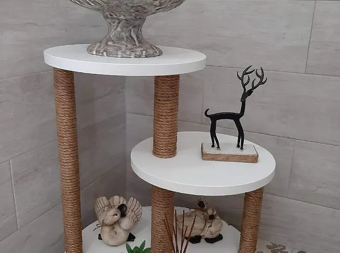 Apartament Alisachni *