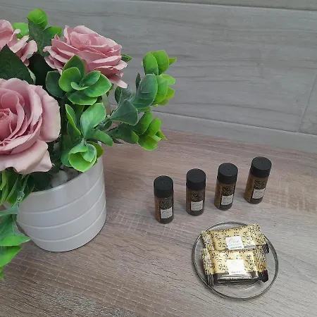 Alisachni Apartment Kini