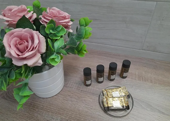 Alisachni Apartament Kini